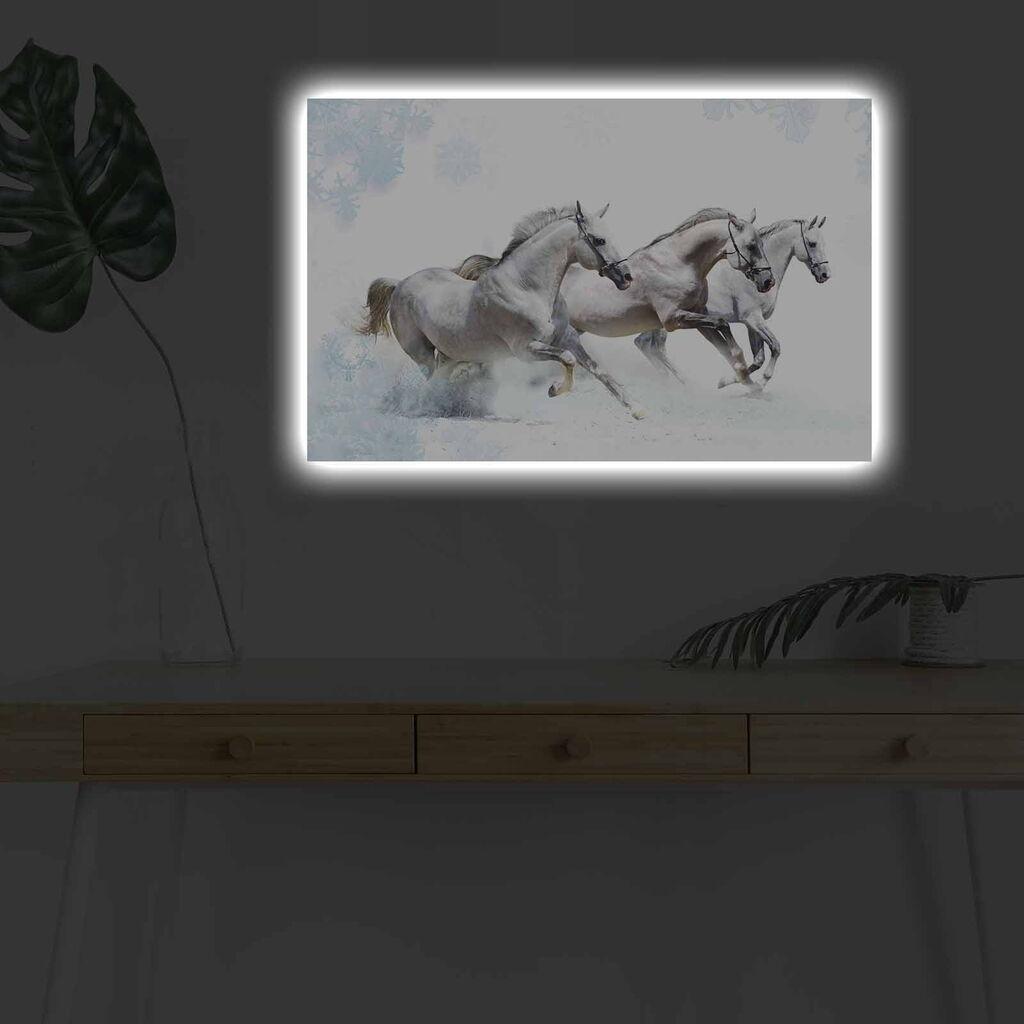 Zidna slika sa LED osvetljenjem 4570DHDACT-038, 45x70 cm
