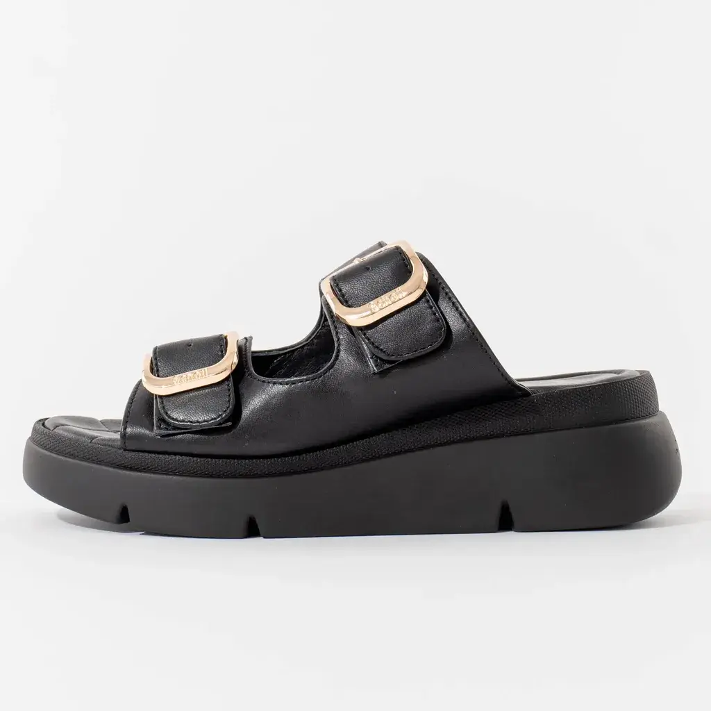 Scholl Ženske papuče Bali Buckle, Crne