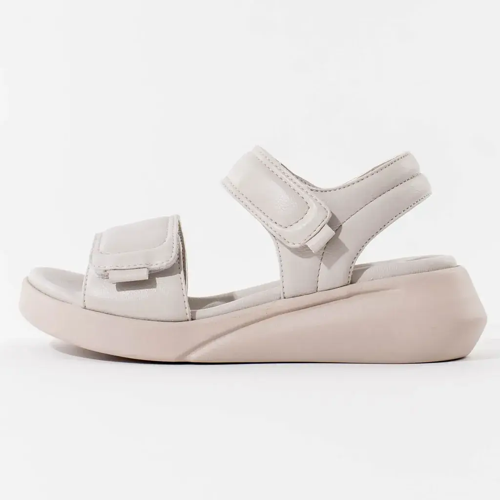 Scholl Ženske sandale Cuba Sandal, Siva
