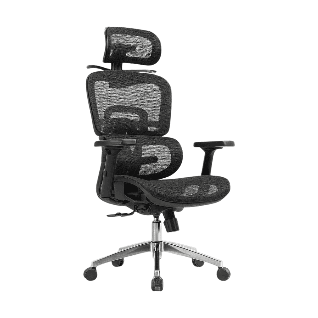 Giga Kancelarijska ergonomska stolica Ergion, Crna