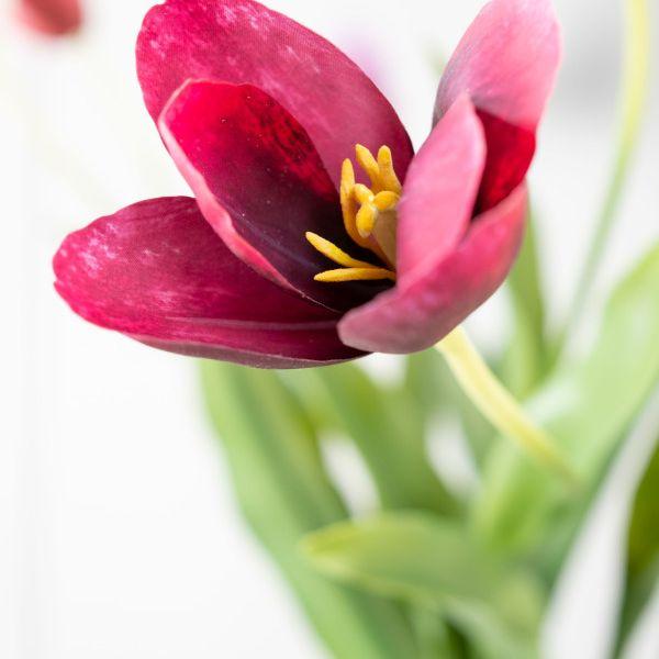 Silk-ka Cvijet Tulipana Burgundy, 82cm, Crveni