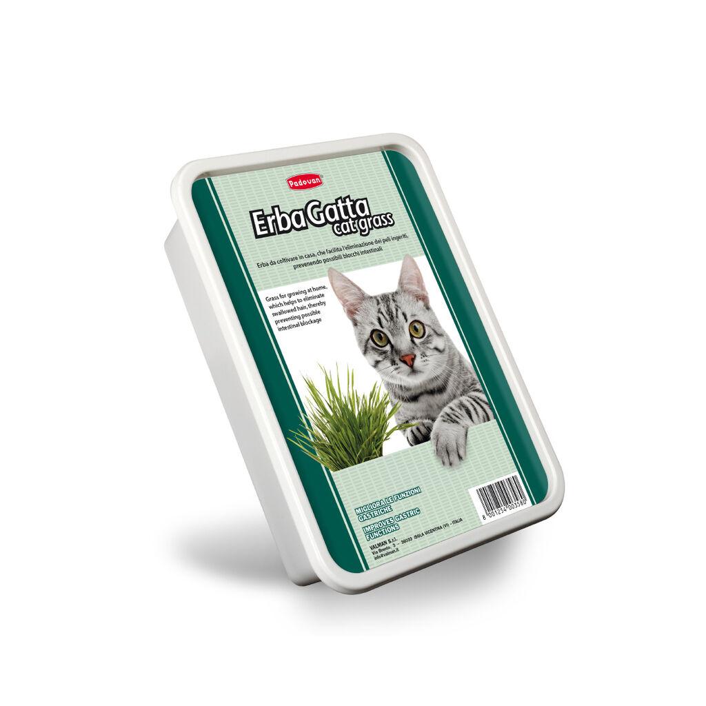 Padovan Trava za mace PP00358