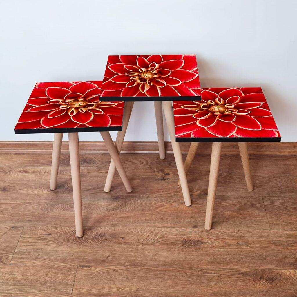 Hanah Home set stolića za kafu 3Shp361, 3 dijela, šareni