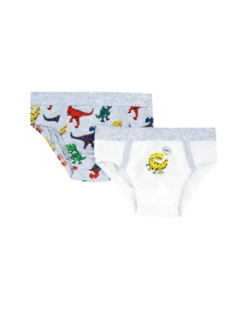 Chicco Set donjeg veša za dječake, 2 kom, Više boja