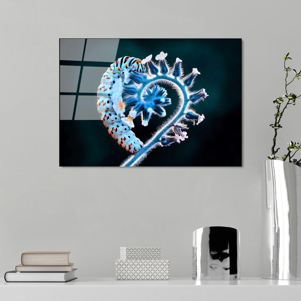Wallity Image UV-283, 50 x 70 cm