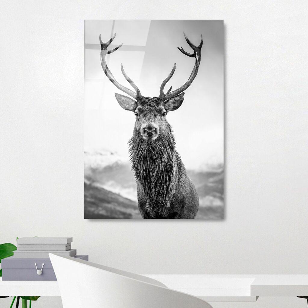 Wallity Image UV-455, 50 x 70 cm