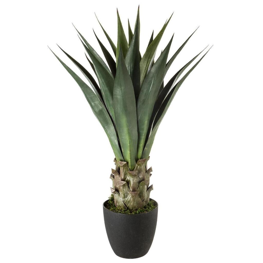 Atmosfera Vještačko drvo Agave, 78 cm