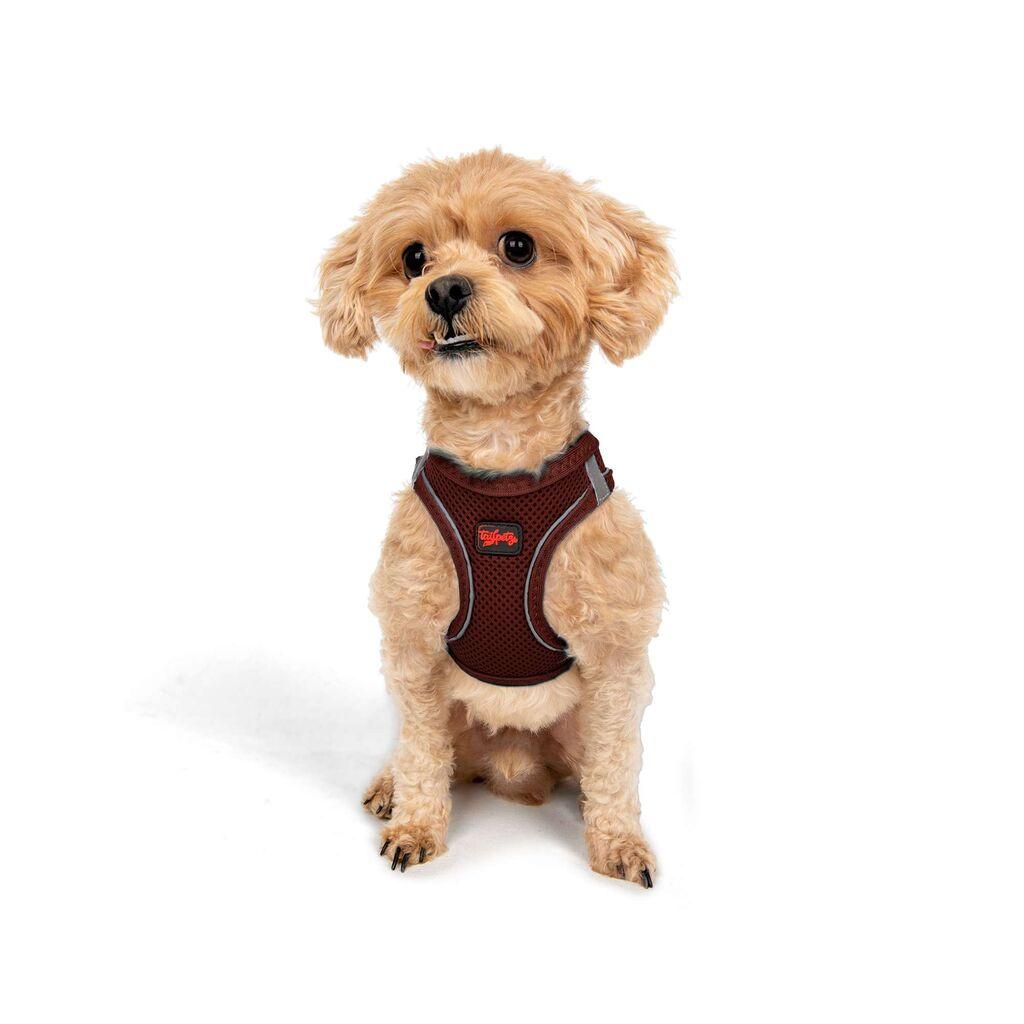 Paws & Whiskers Am za pse Air-Mesh, bordo