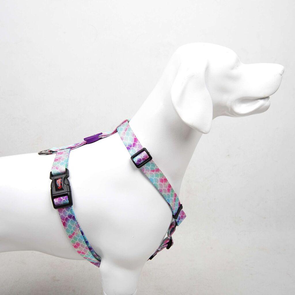 Šape i brkovi Am za pse Baloni, šareni