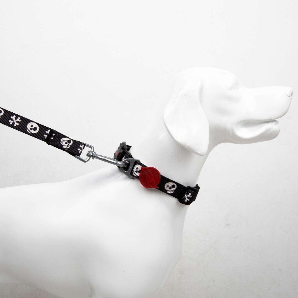 Paws & Whiskers povodac za pse Boo mali, šareni