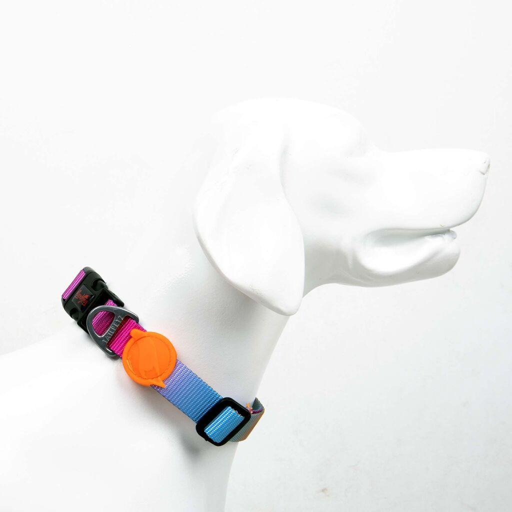 Ogrlica Paws & Whiskers za pse Pass, šarena