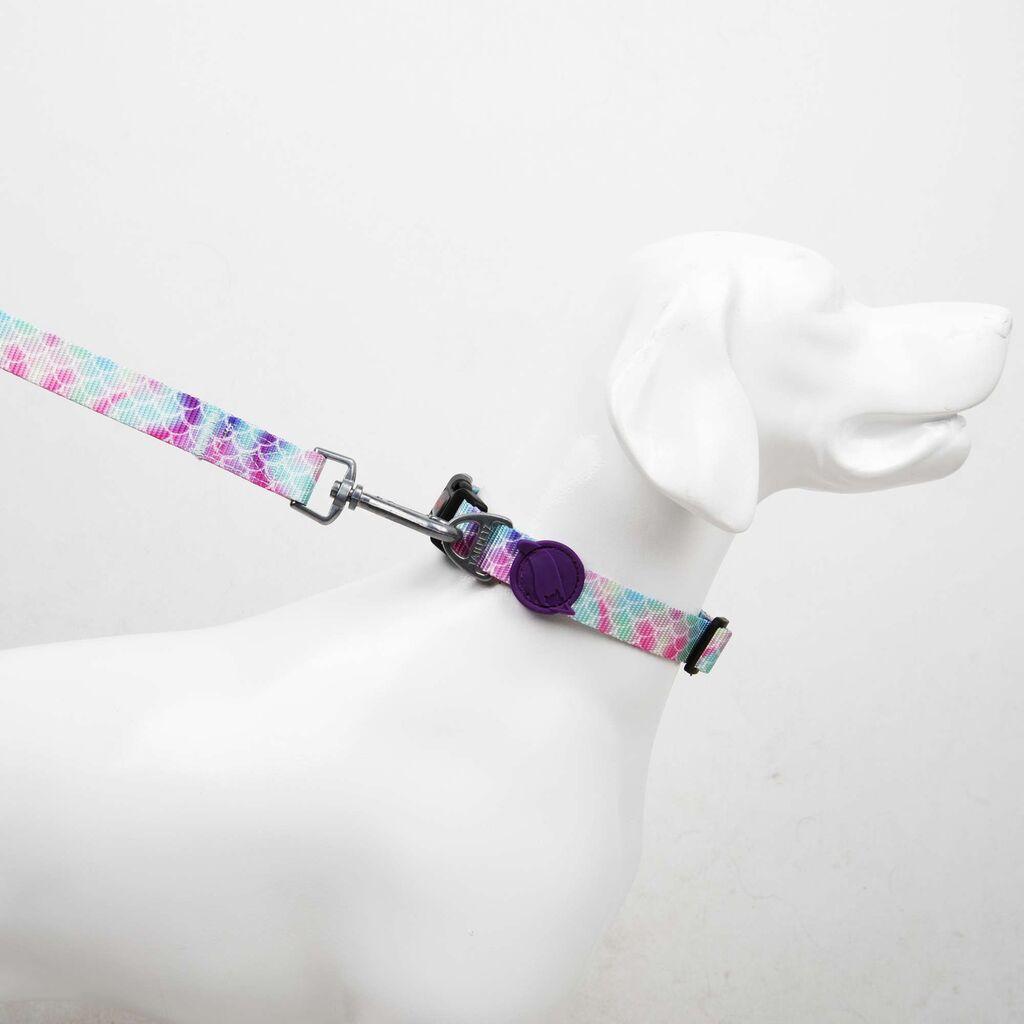 Paws & Whiskers Bubles povodac za pse srednje veličine, šareni