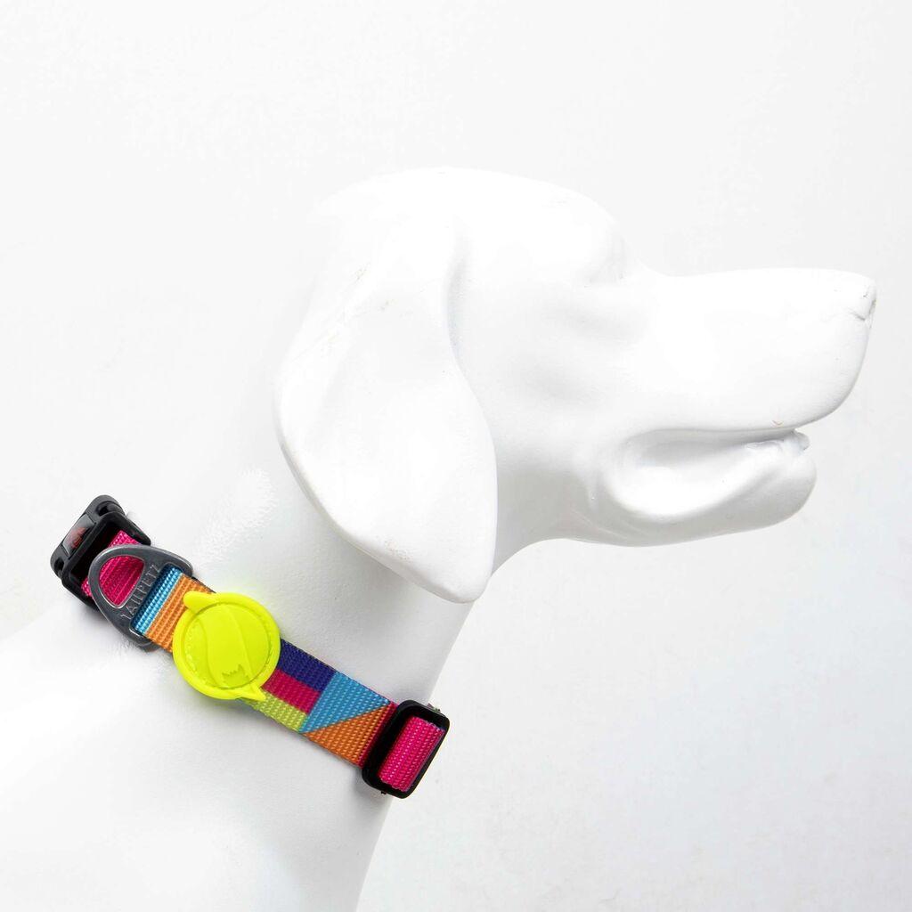 Ogrlica Paws & Whiskers za pse Spirit, šarena