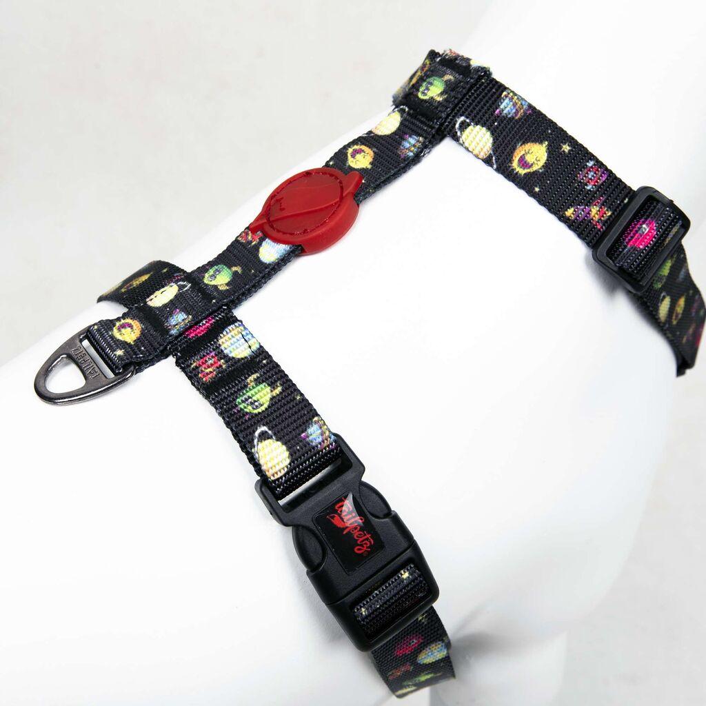 Šape i brkovi Am za pse Svemir, Šareno