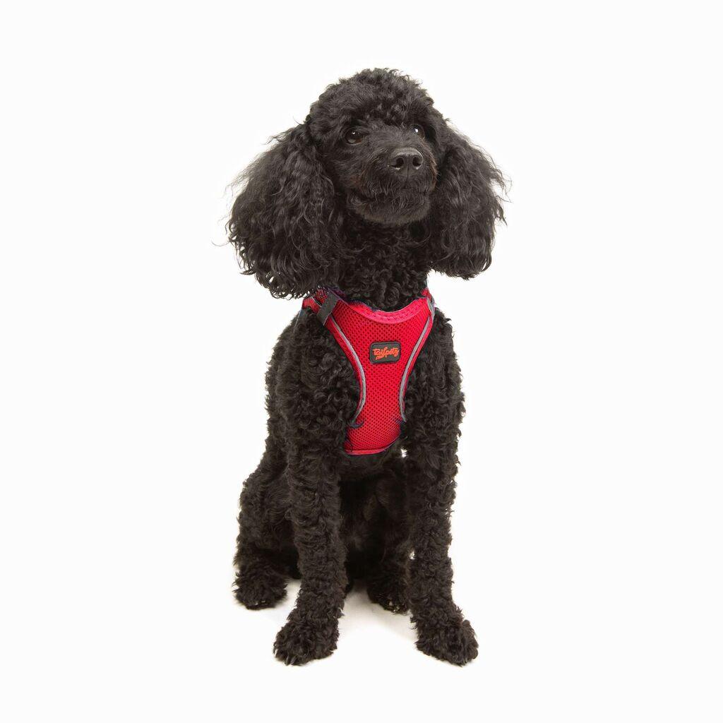 Paws & Whiskers Am za pse Air-Mesh, crvene