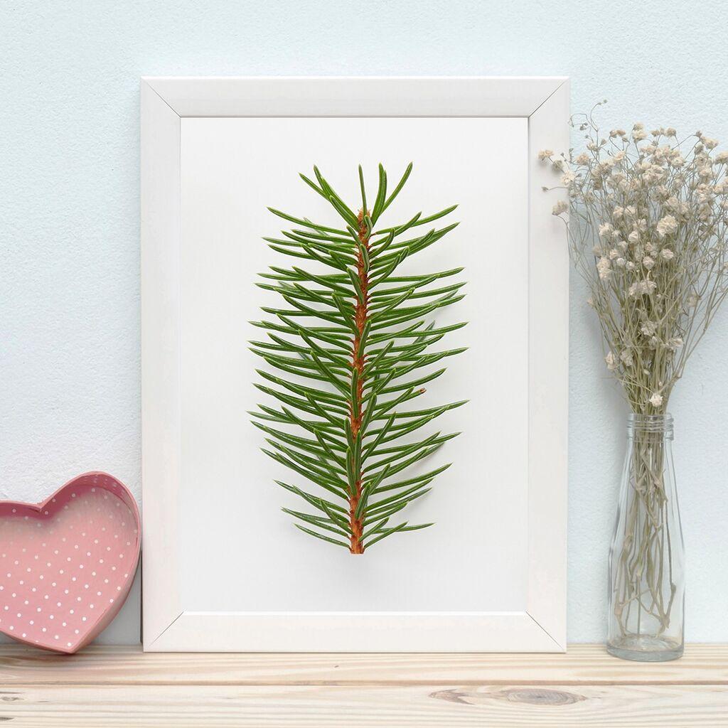 Wallity Zidna dekoracija BC7406288862, 24 x 29 cm, Šarena