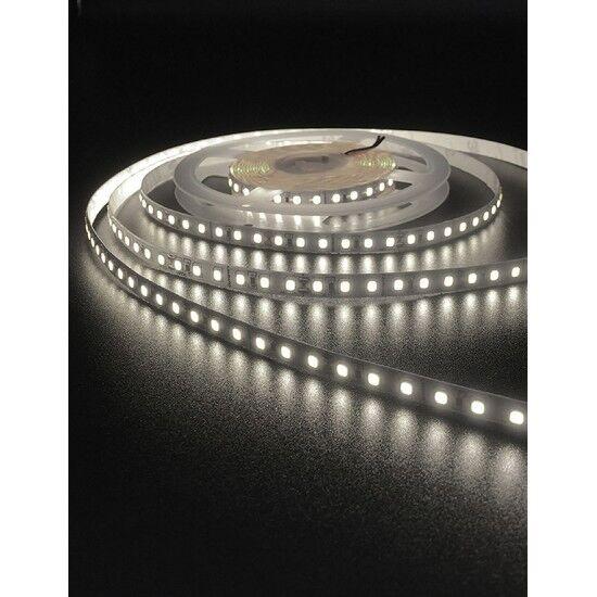 Lambario LED traka 609177, 10W/M, IP20, 6400K, 24V