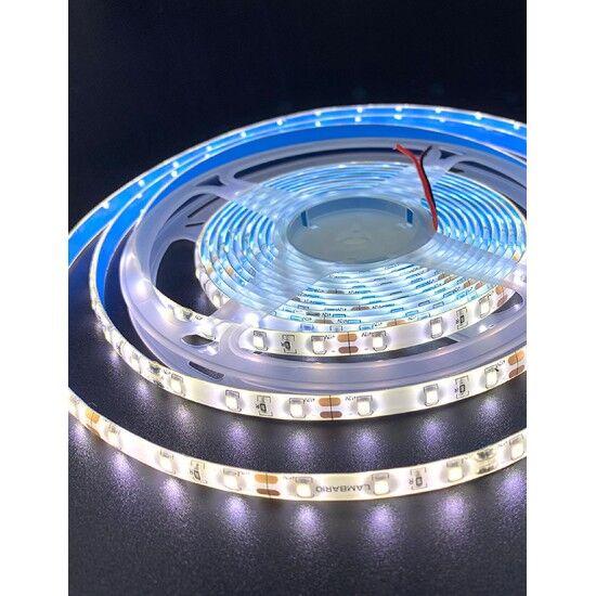 Lambario LED traka 609115, 4.8W/M, IP54, 4200K, 12V