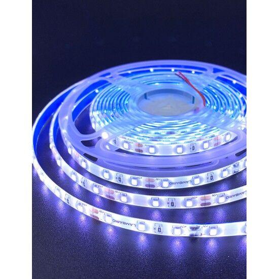 Lambario LED traka 694128, 4,8W/M, IP54, 6400K, 12V