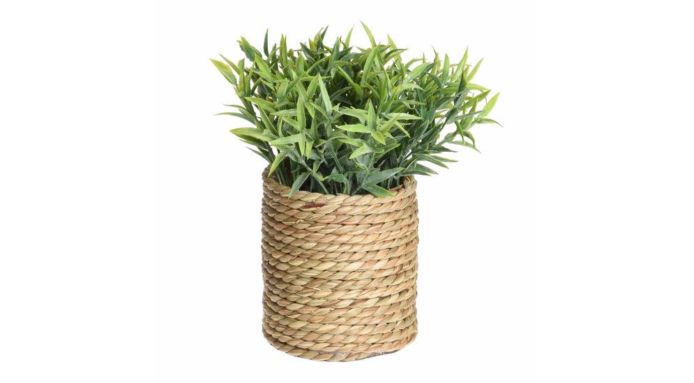 Millery Umjetni cvijet u saksiji 4AS 317221010
