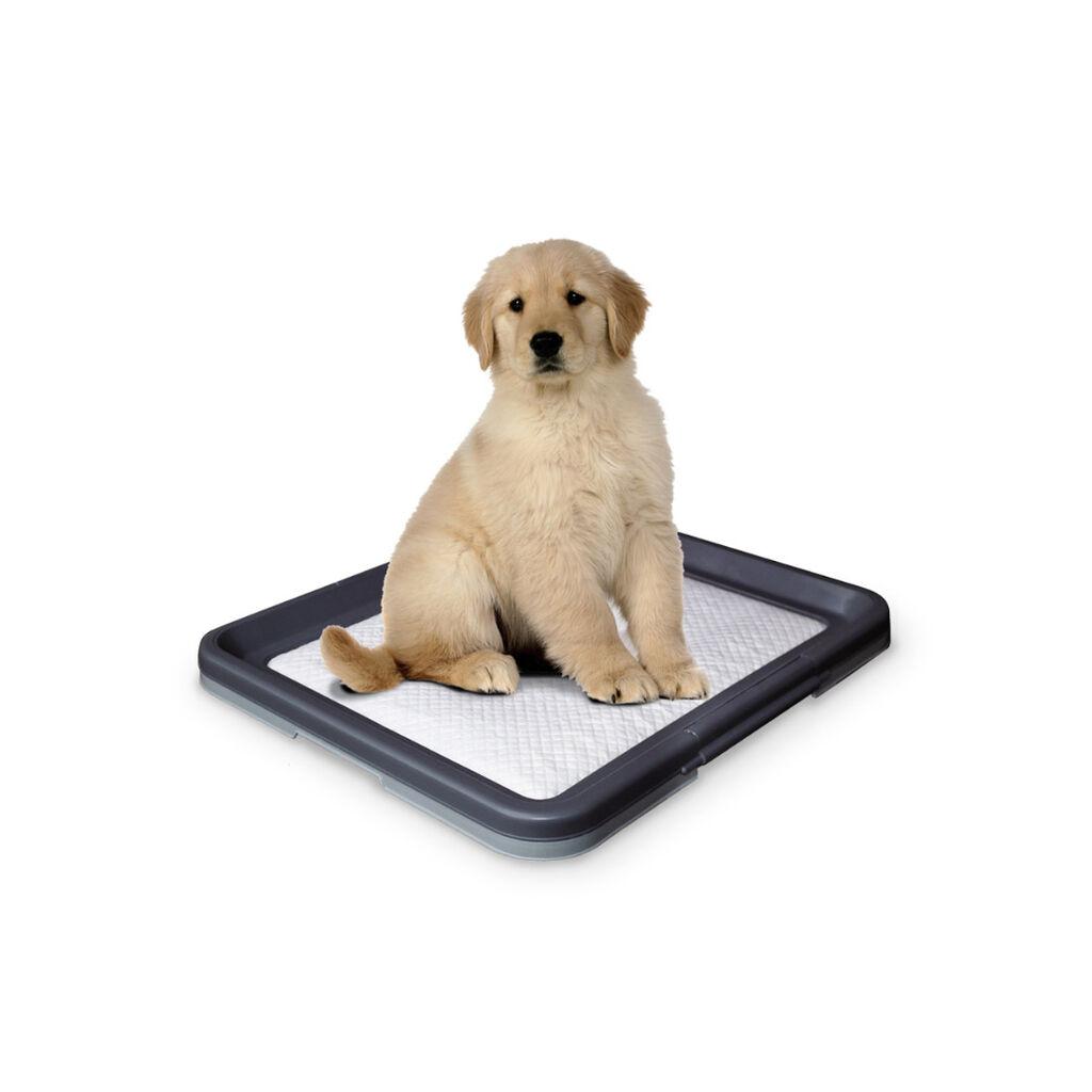 Nobby Trening podloga za pse Doggy Trainer, 62.5x48x3.8cm, Crna