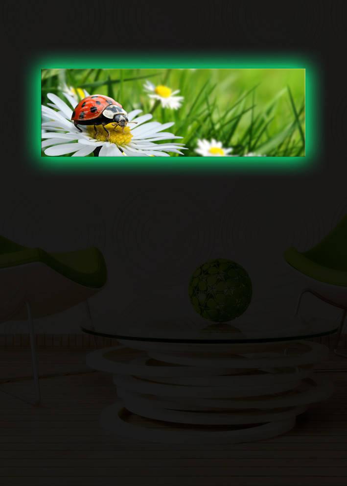 Zidna slika sa LED osvetljenjem 3090DACT-10, 30x90 cm