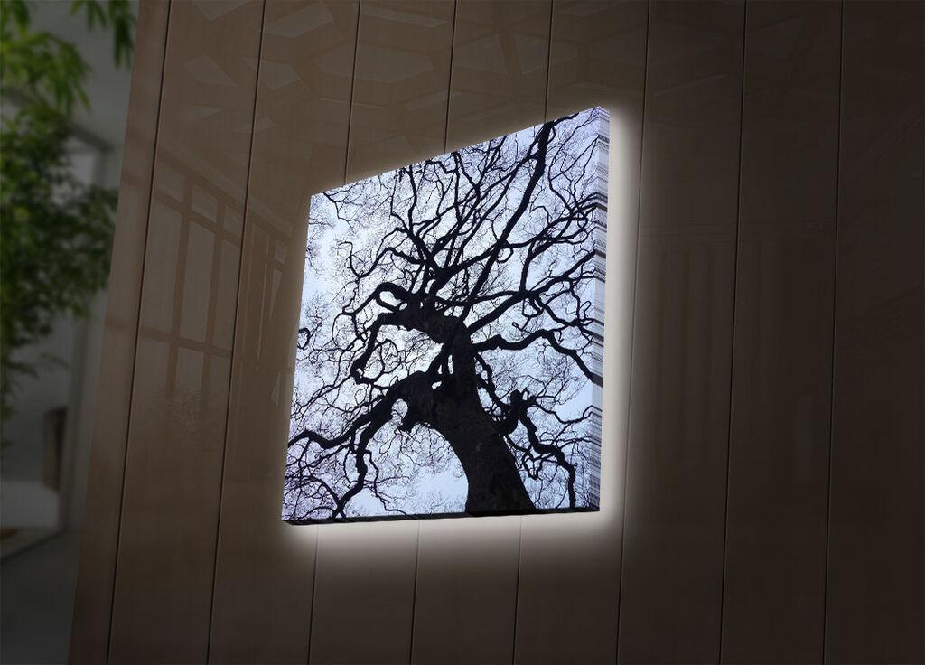 Zidna slika sa LED osvetljenjem 2828DACT-56, 28x28 cm