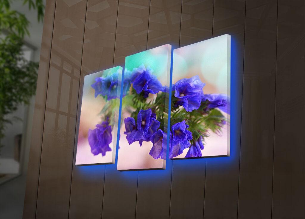 Wallity Set slika sa LED rasvjetom 3PATDACT-20, 3 dijela