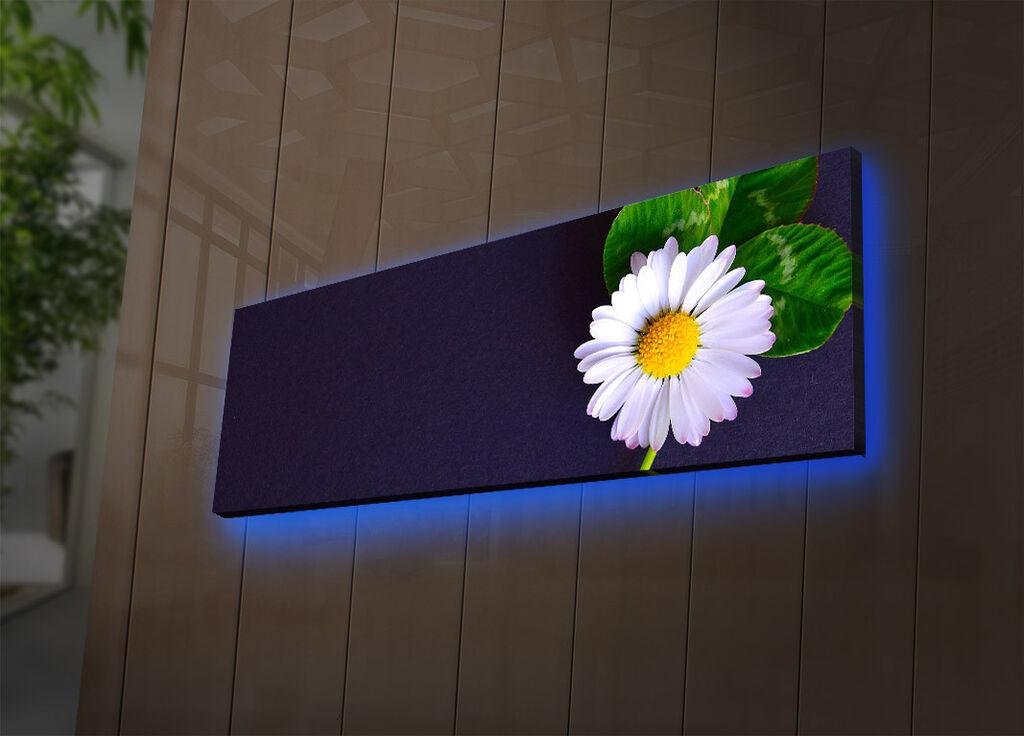Zidna slika sa LED osvetljenjem 3090DACT-56, 30x90 cm