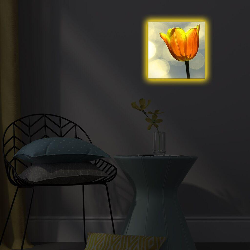 Zidna slika sa LED osvetljenjem 2828DACT-55, 28x28 cm