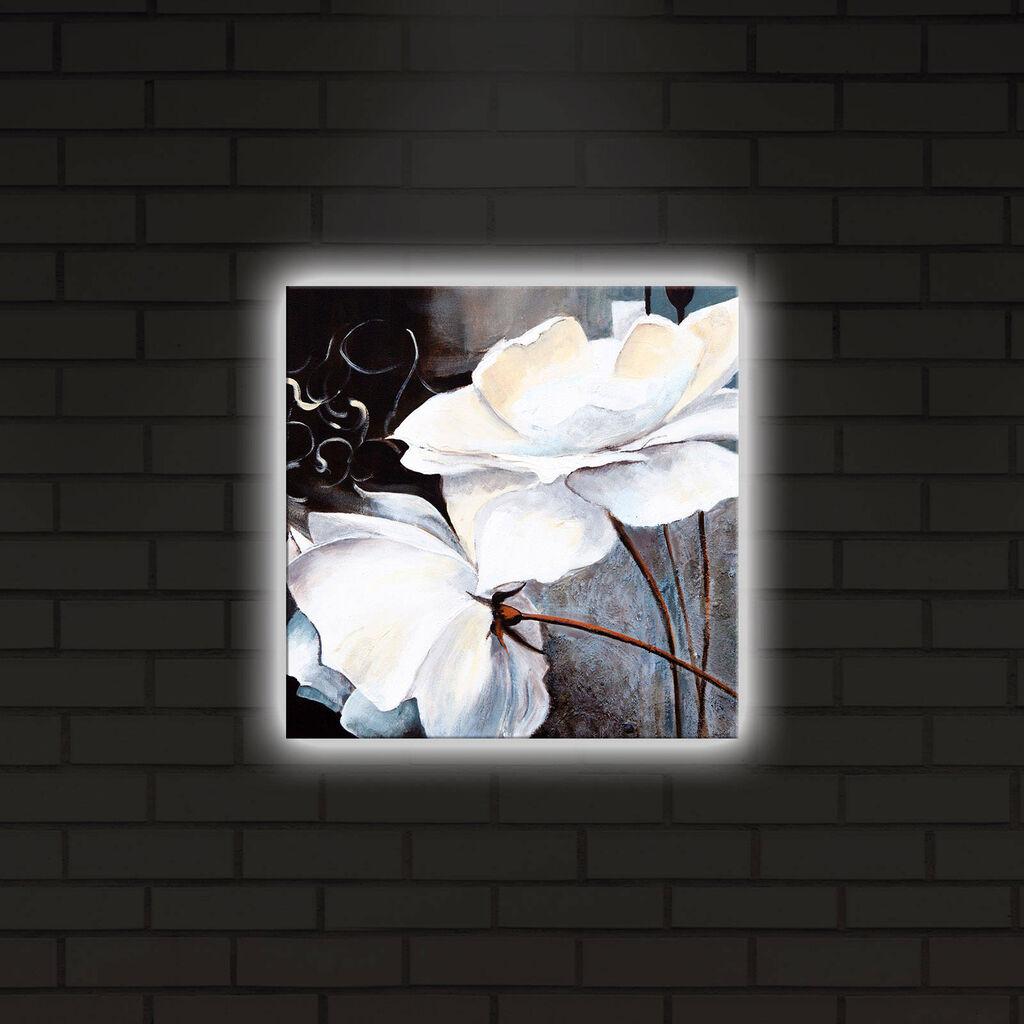 Zidna slika sa LED osvetljenjem 2828DACT-2, 28x28 cm