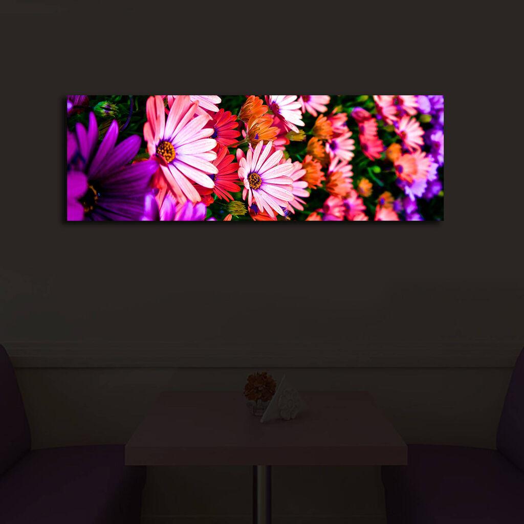 Zidna slika sa LED osvetljenjem 3090IACT-43, 30x90 cm