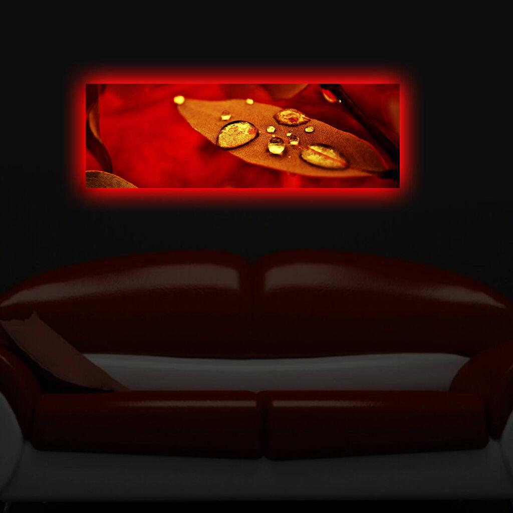 Zidna slika sa LED osvetljenjem 3090DACT-47, 30x90 cm