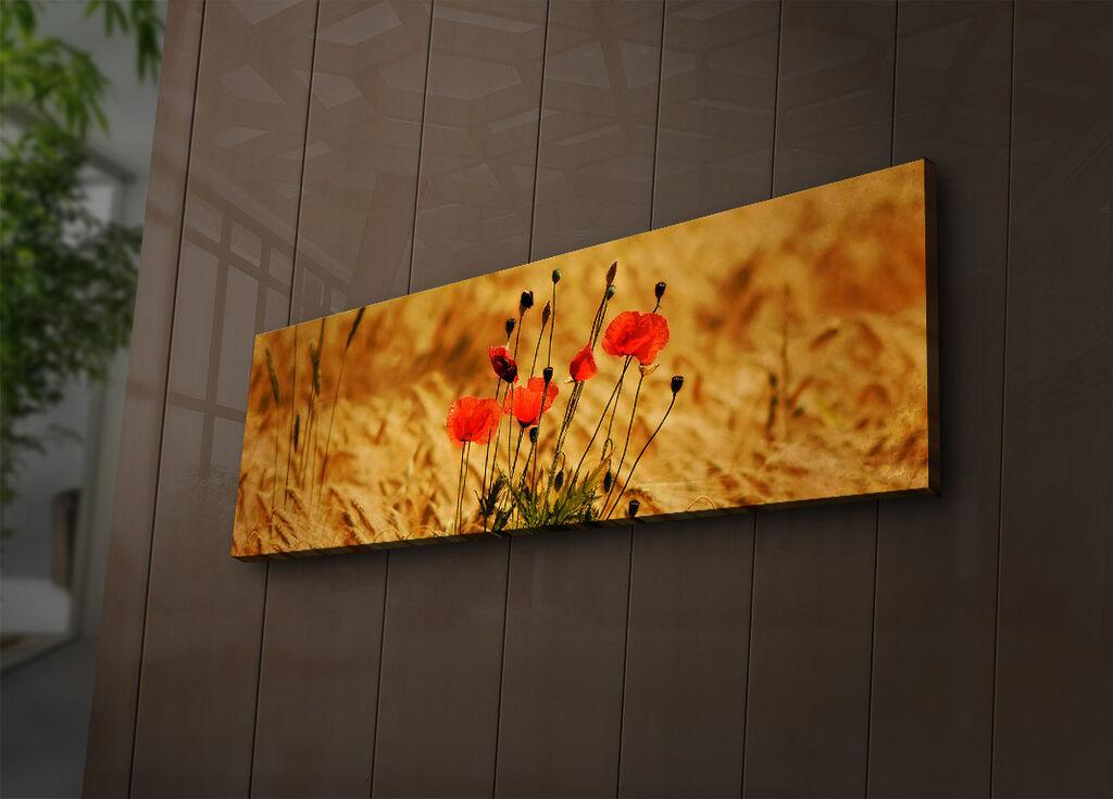 Zidna slika sa LED osvetljenjem 3090IACT-71, 30x90 cm