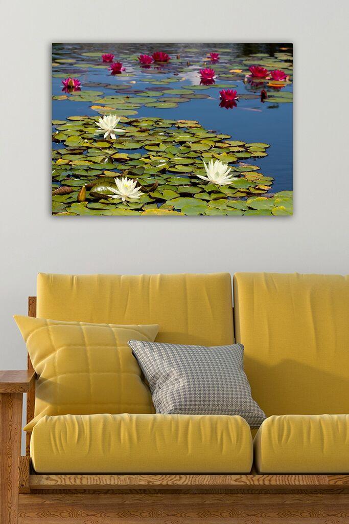 Slika Wallity 154086938, 50x70 cm