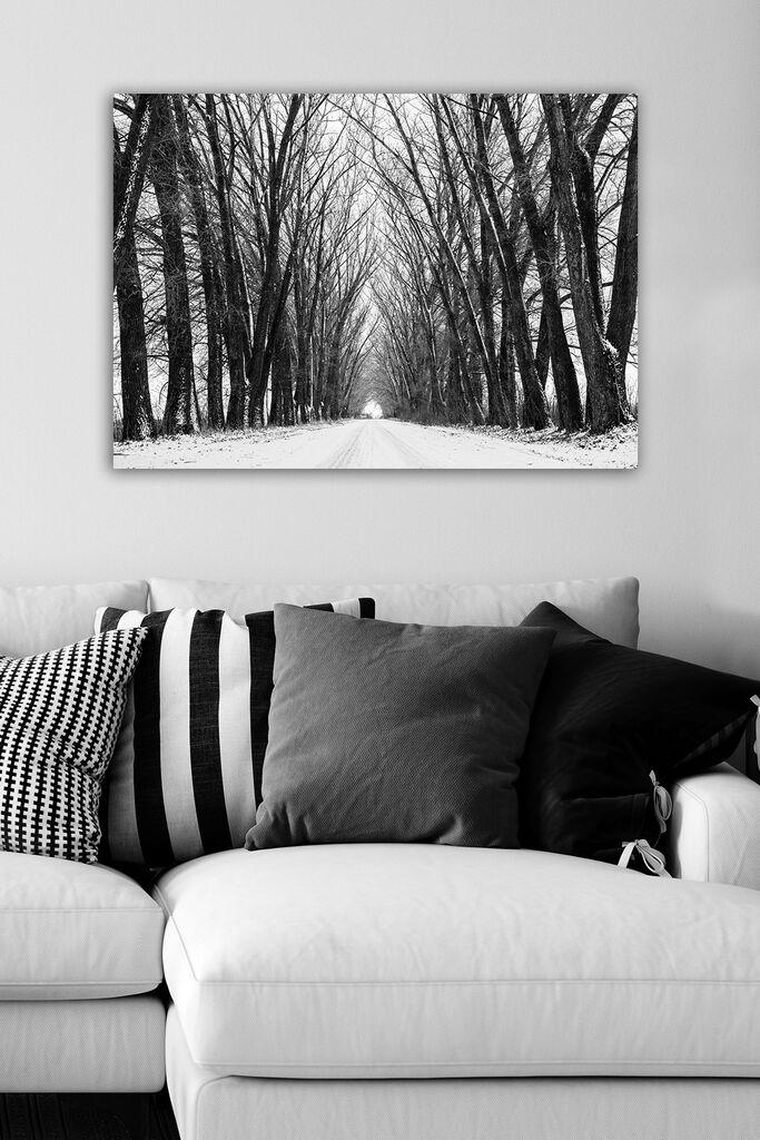 Slika Wallity 108800927, 50x70 cm