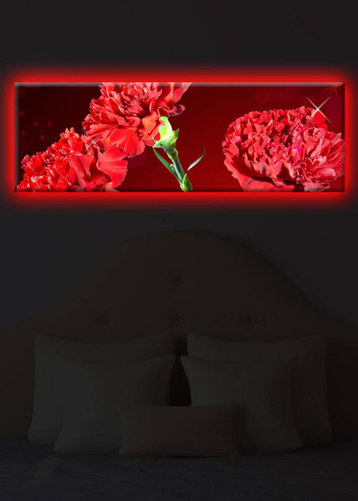 Zidna slika sa LED osvetljenjem 3090DACT-25, 30x90 cm
