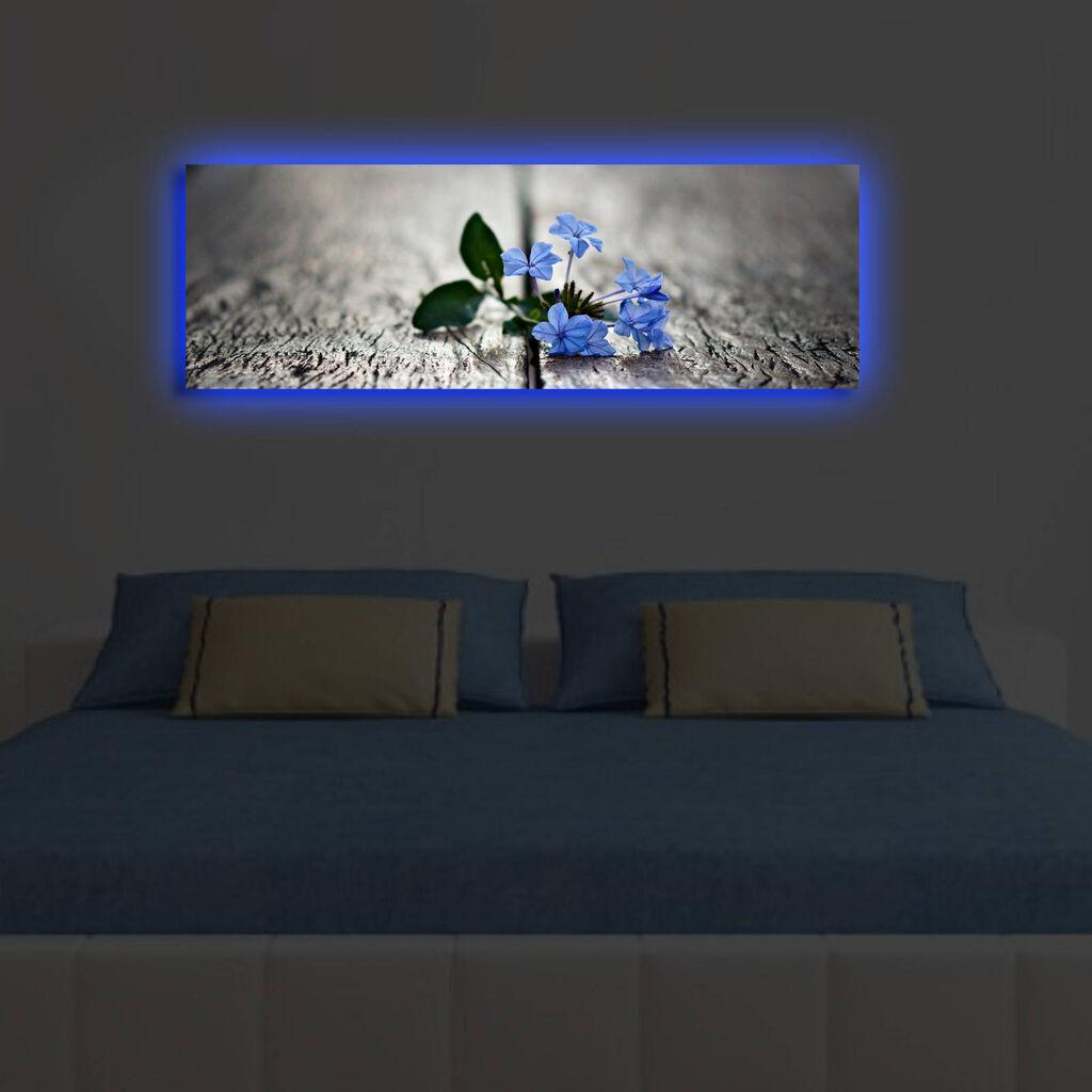 Zidna slika sa LED osvetljenjem 3090DACT-49, 30x90 cm