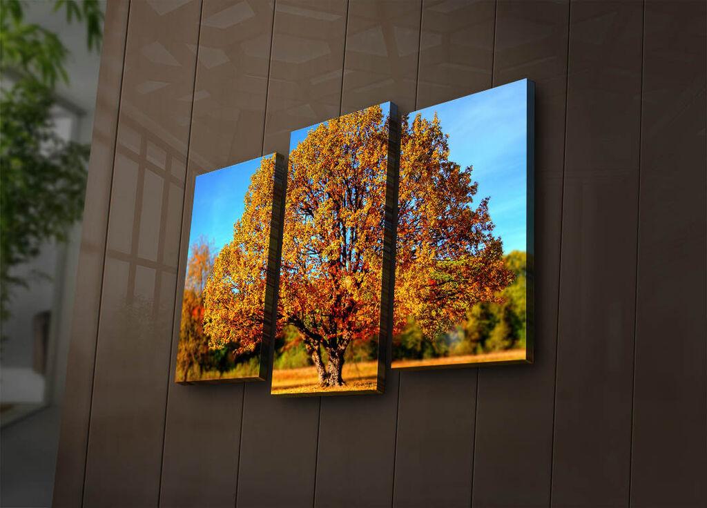 Wallity Set slika sa LED rasvjetom 3PATIACT-26, 3 dijela