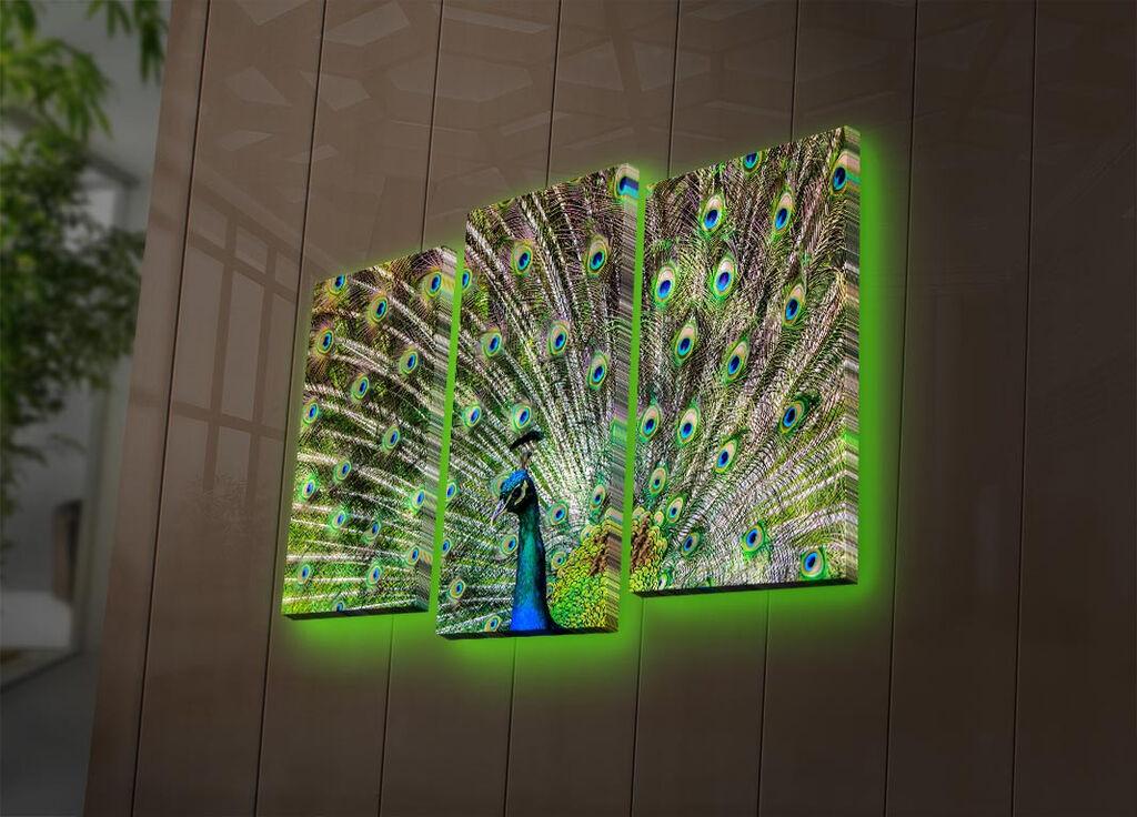 Wallity Set slika sa LED rasvjetom 3PATDACT-11, 3 dijela