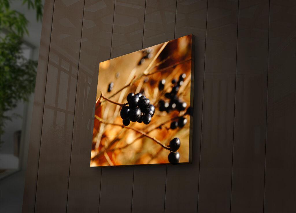 Zidna slika sa LED osvetljenjem 2828IACT-32, 28x28 cm