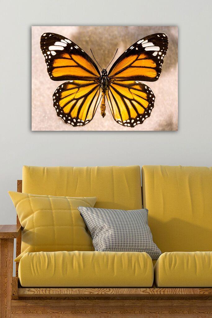 Slika Wallity 1075109996, 50x70 cm