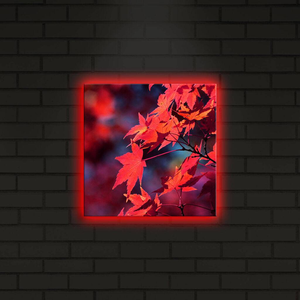 Zidna slika sa LED osvetljenjem 2828DACT-7, 28x28 cm