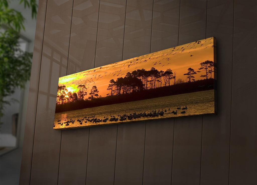 Zidna slika sa LED osvetljenjem 3090IACT-73, 30x90 cm