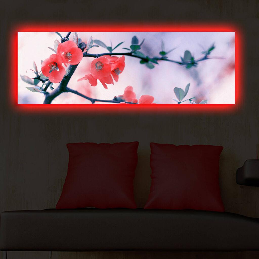 Zidna slika sa LED osvetljenjem 3090DACT-48, 30x90 cm