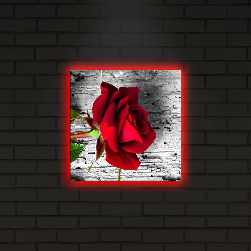 Zidna slika sa LED osvetljenjem 2828DACT-1, 28x28 cm