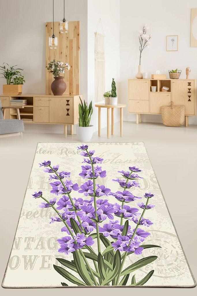 Conceptum Hypnose tepih, 80x140cm, šareni