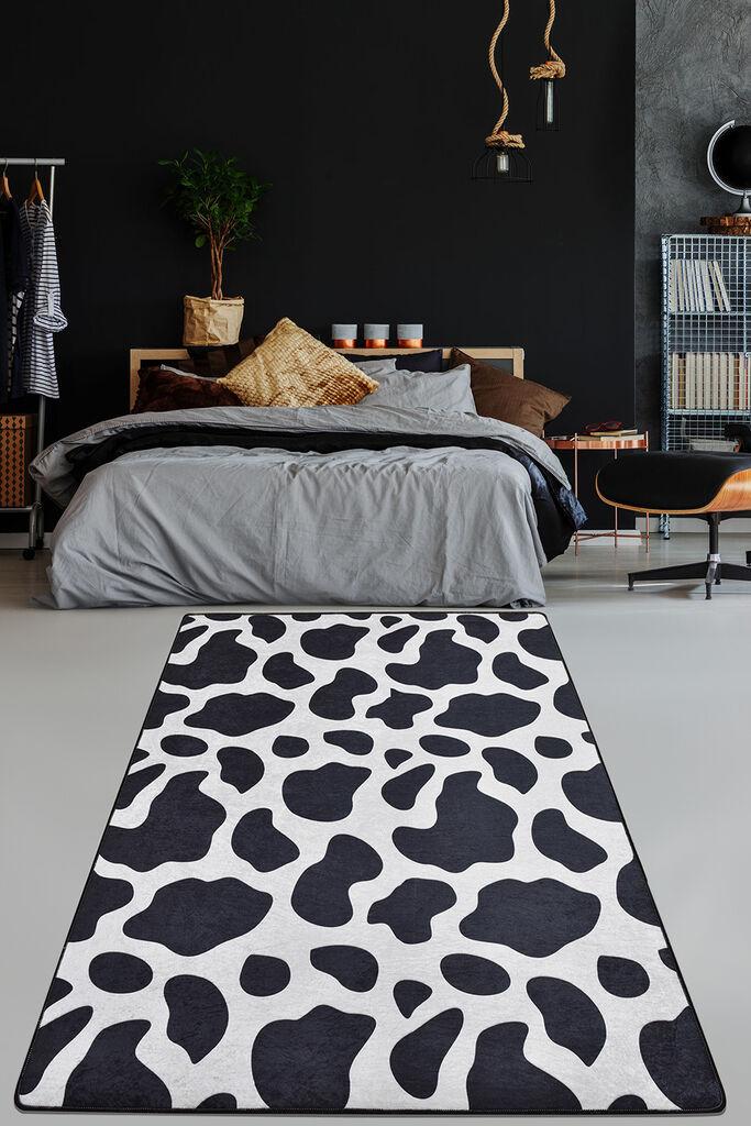 Conceptum Hypnose tepih, 80x120cm, šaren