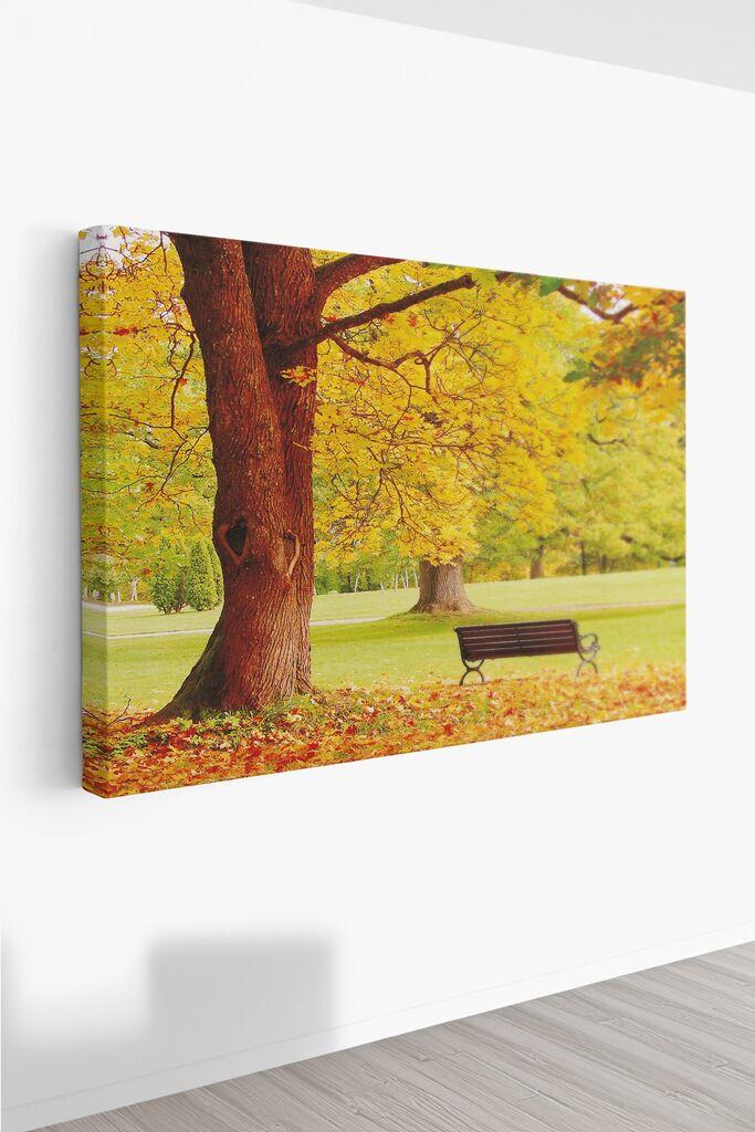 Slika za zid Ersyfdc213, 70x100 cm