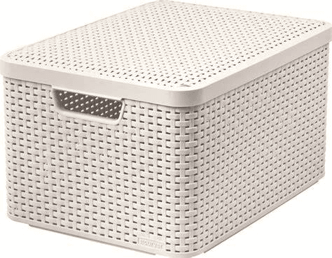 Box za odlaganje sa poklopcem, 30 l, Bijeli